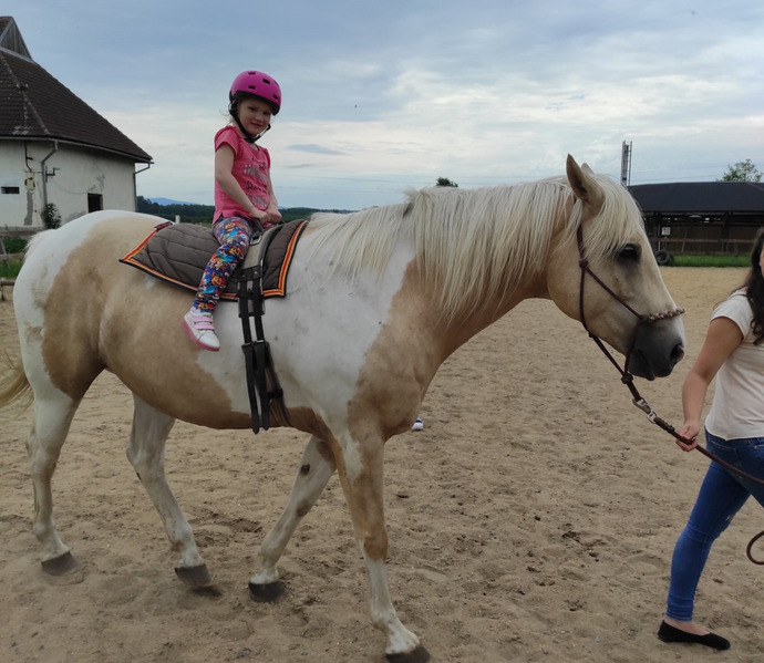 Obrázek galerie  27016