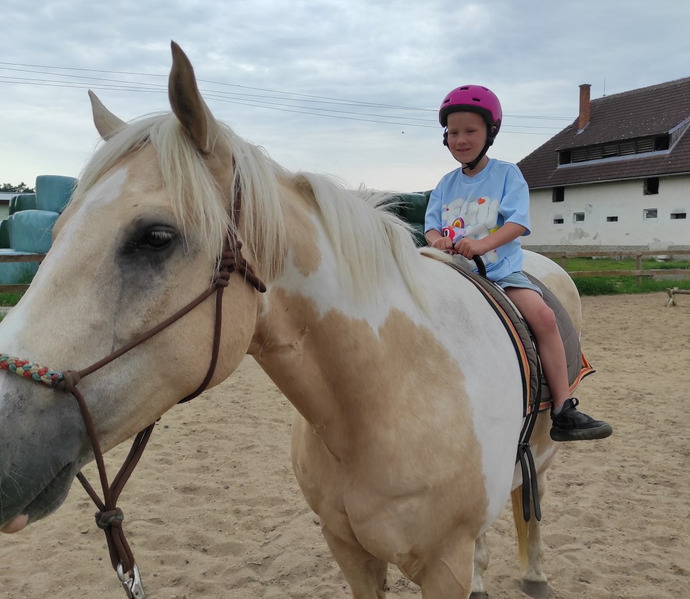 Obrázek galerie  27018