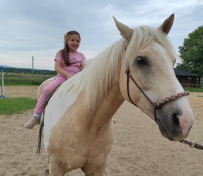 Obrázek galerie  27020