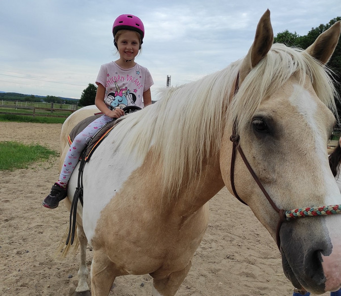 Obrázek galerie  27021