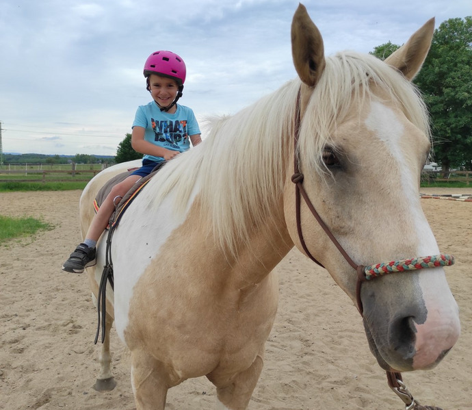 Obrázek galerie  27023