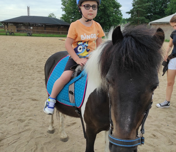 Obrázek galerie  27024