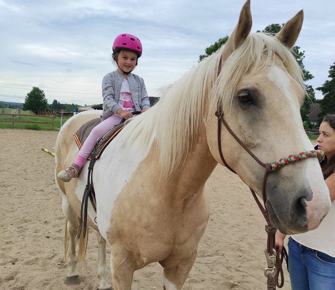 Obrázek galerie  27025