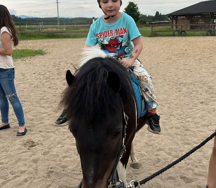 Obrázek galerie  27027