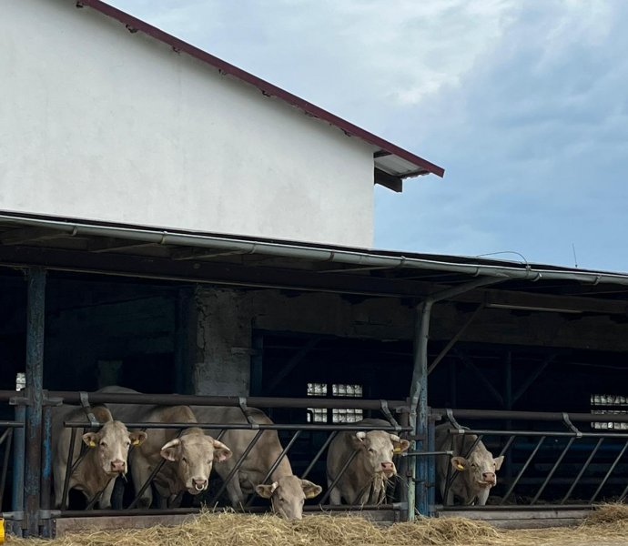 Obrázek galerie  27032