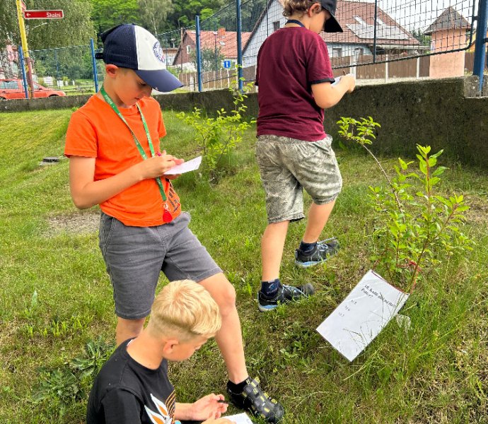 Obrázek galerie  27149