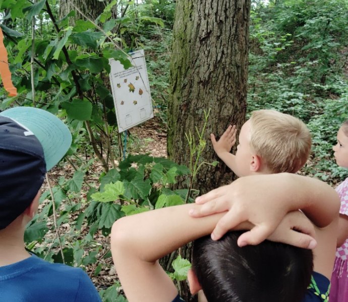 Obrázek galerie  27172