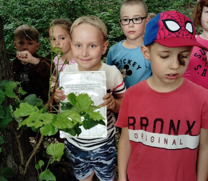 Obrázek galerie  27174