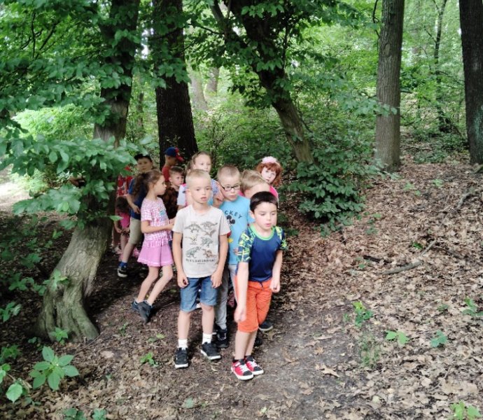 Obrázek galerie  27180