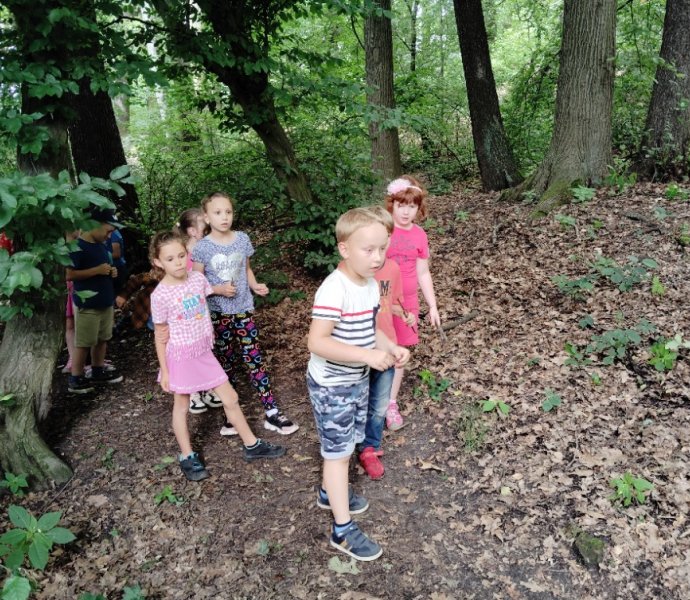 Obrázek galerie  27182