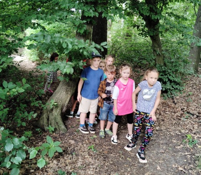 Obrázek galerie  27183