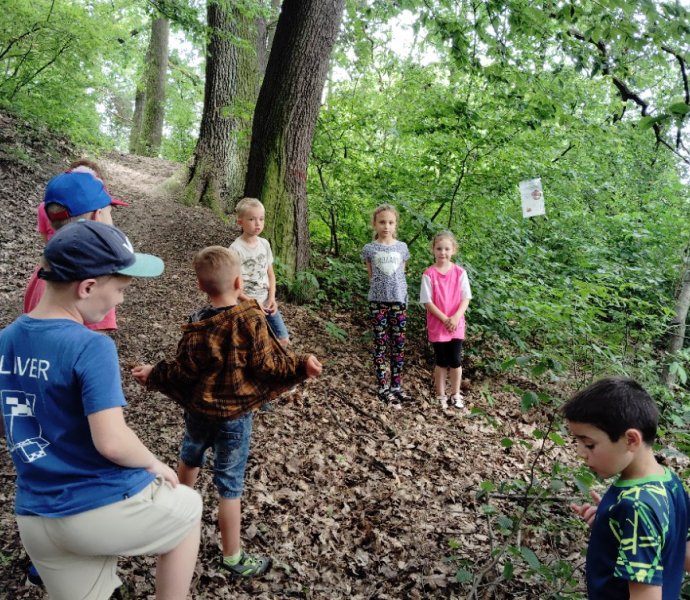 Obrázek galerie  27185