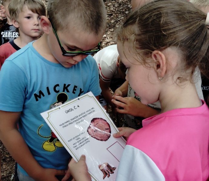 Obrázek galerie  27186