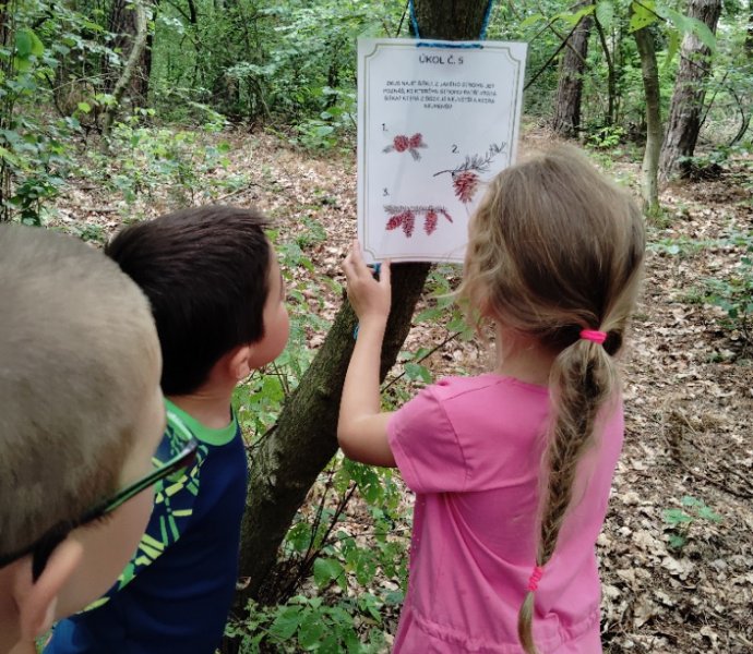 Obrázek galerie  27188