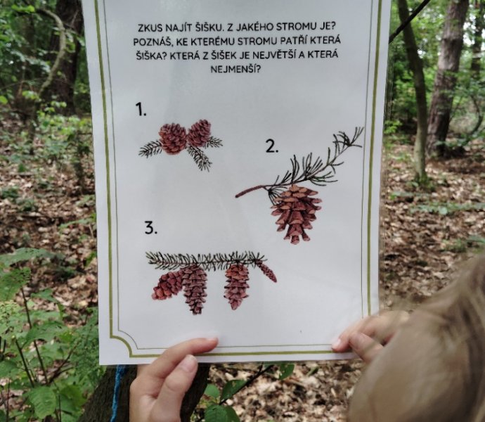 Obrázek galerie  27189