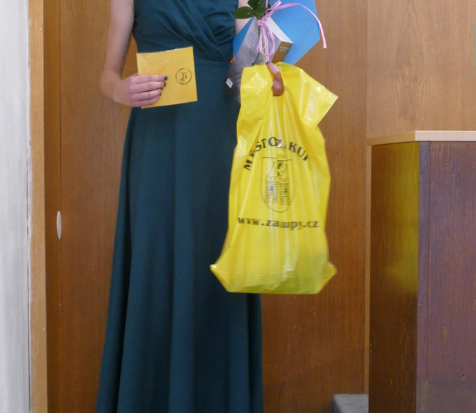 Obrázek galerie  27253