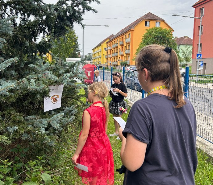 Obrázek galerie  27295