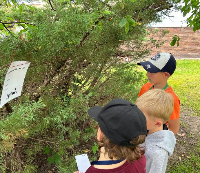 Obrázek galerie  27296