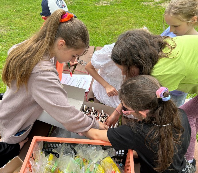 Obrázek galerie  27312