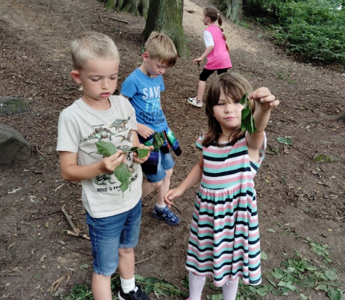 Obrázek galerie  27326