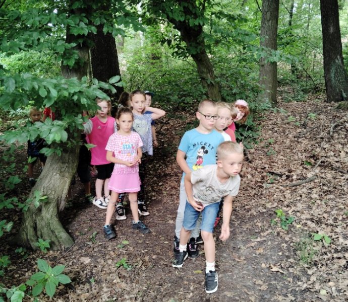 Obrázek galerie  27331