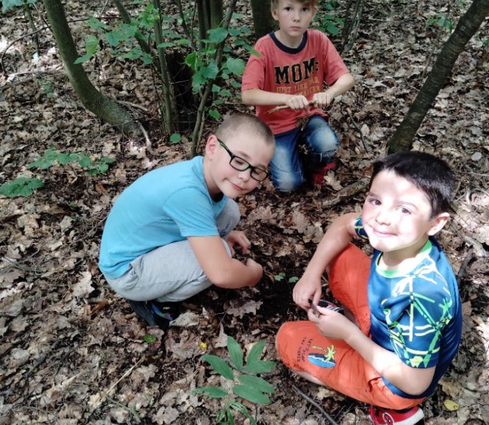 Obrázek galerie  27343