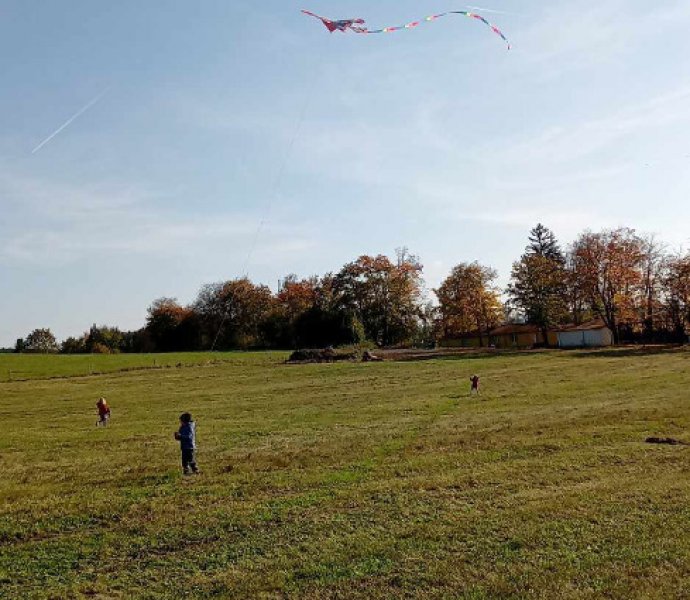 Obrázek galerie  28391