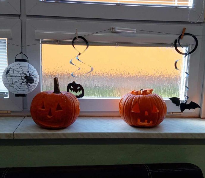 Obrázek galerie  28488