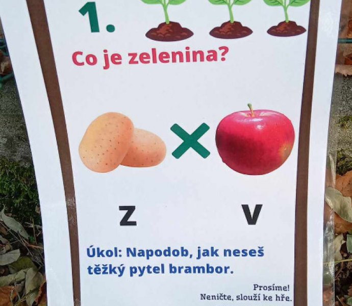 Obrázek galerie  28626