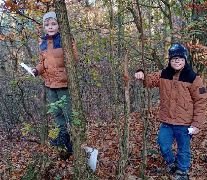 Obrázek galerie  28634