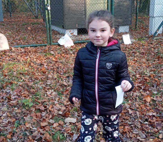 Obrázek galerie  28636