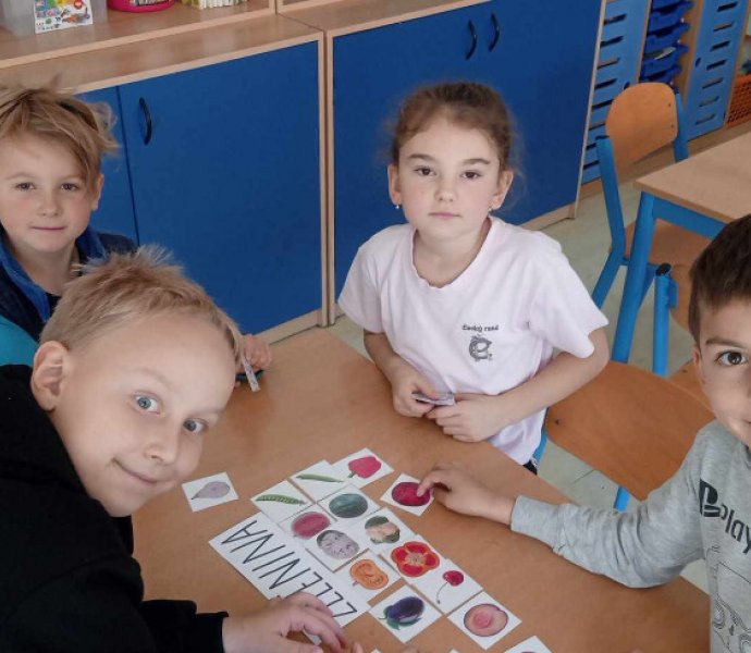 Obrázek galerie  28644