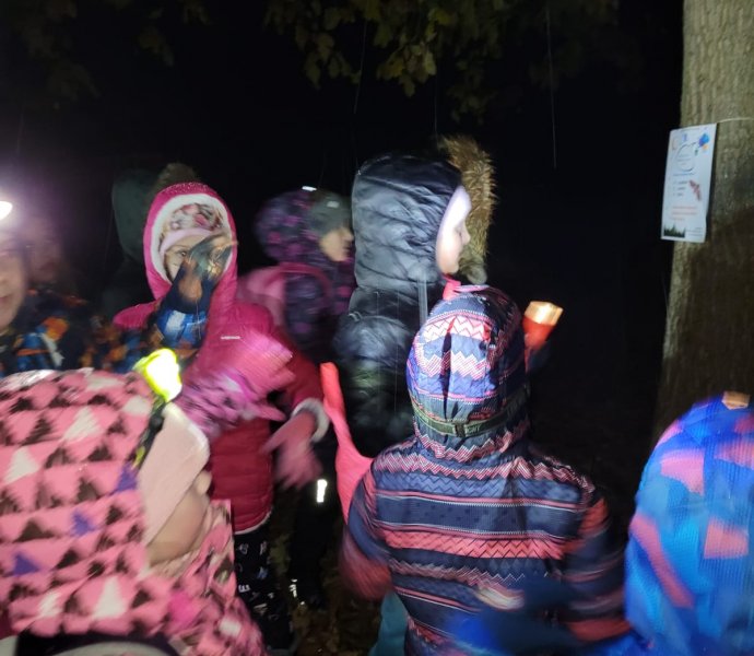 Obrázek galerie  28787