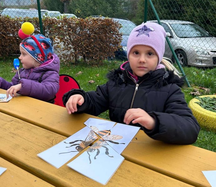 Obrázek galerie  29261