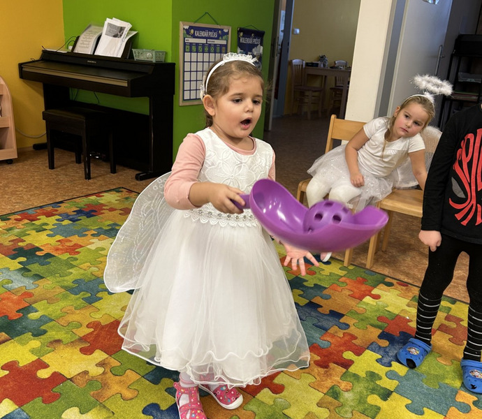 Obrázek galerie  29574