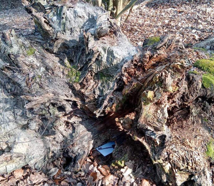 Obrázek galerie  30674