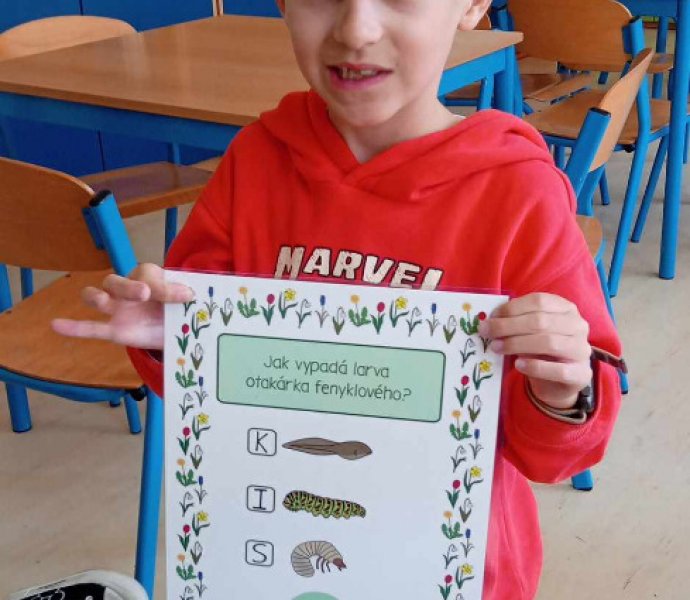 Obrázek galerie  30678