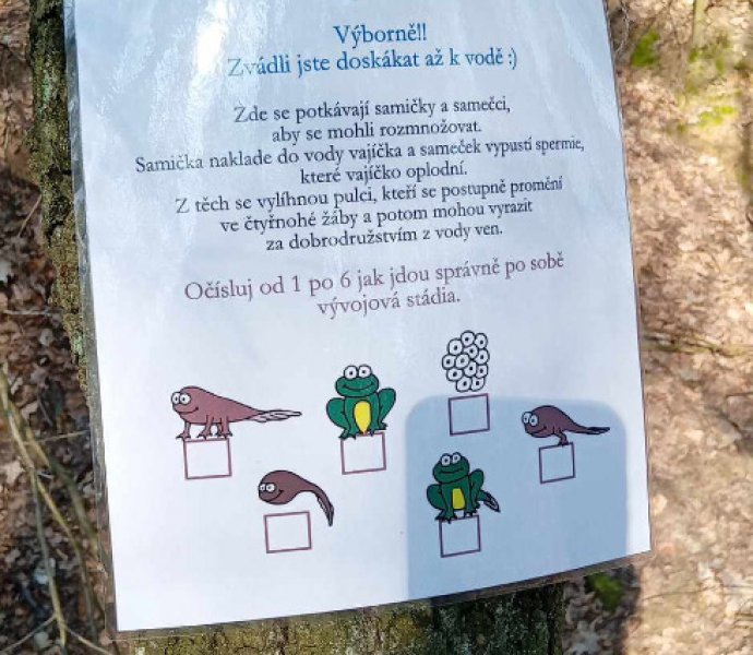 Obrázek galerie  30690