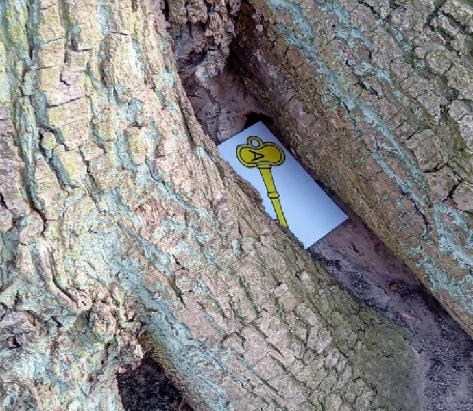 Obrázek galerie  30692