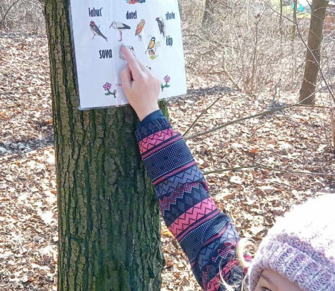 Obrázek galerie  30702