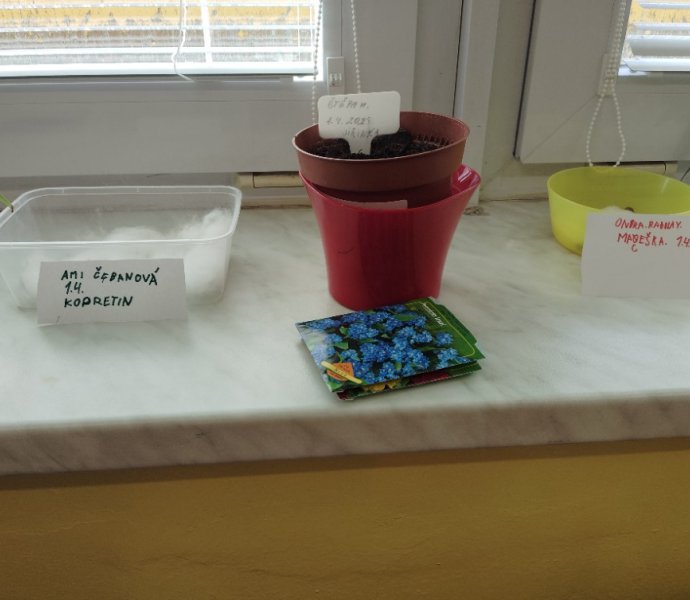 Obrázek galerie  30853