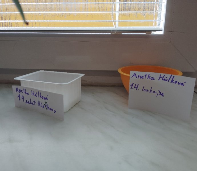 Obrázek galerie  30854