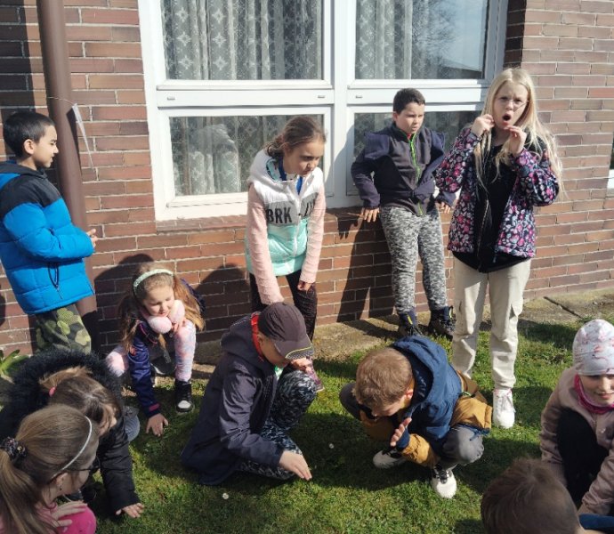 Obrázek galerie  30876