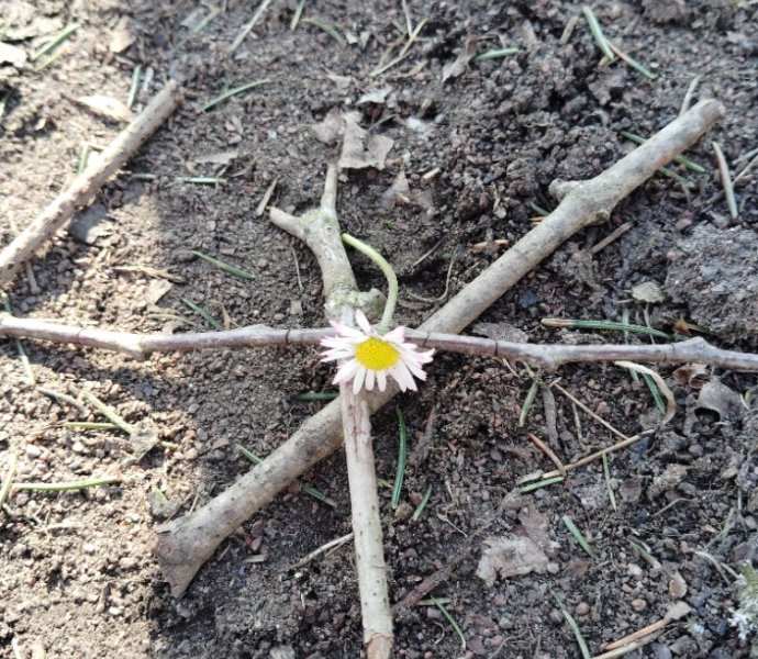 Obrázek galerie  30882