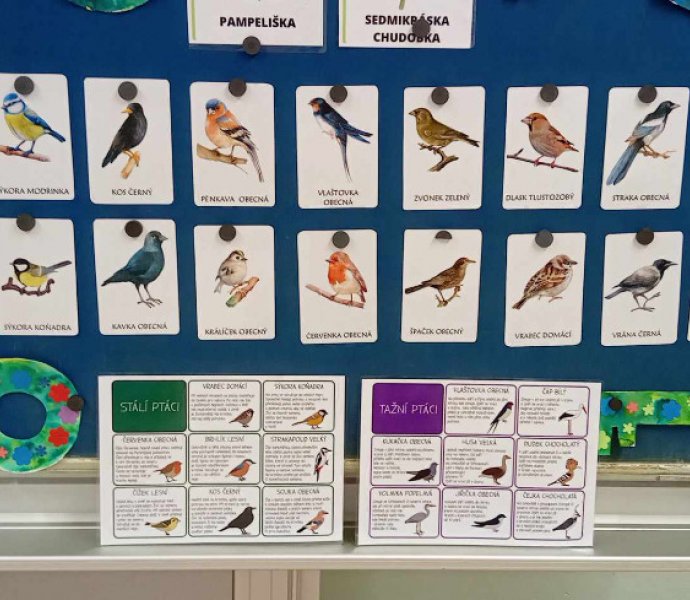 Obrázek galerie  30905