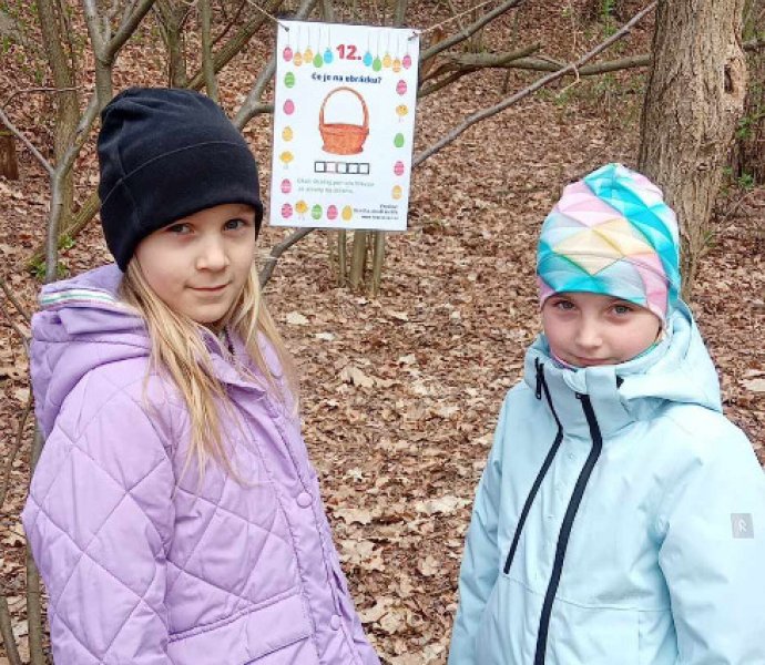 Obrázek galerie  30978