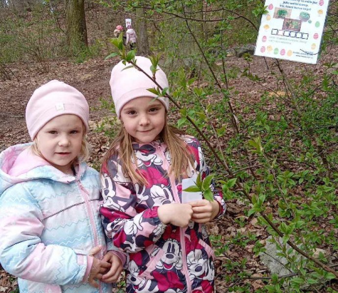 Obrázek galerie  30981