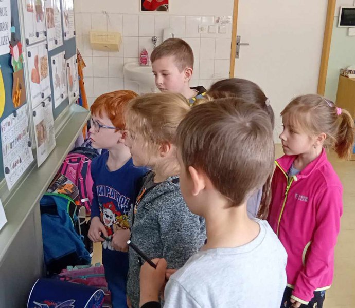 Obrázek galerie  30990