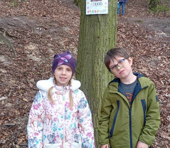 Obrázek galerie  30994