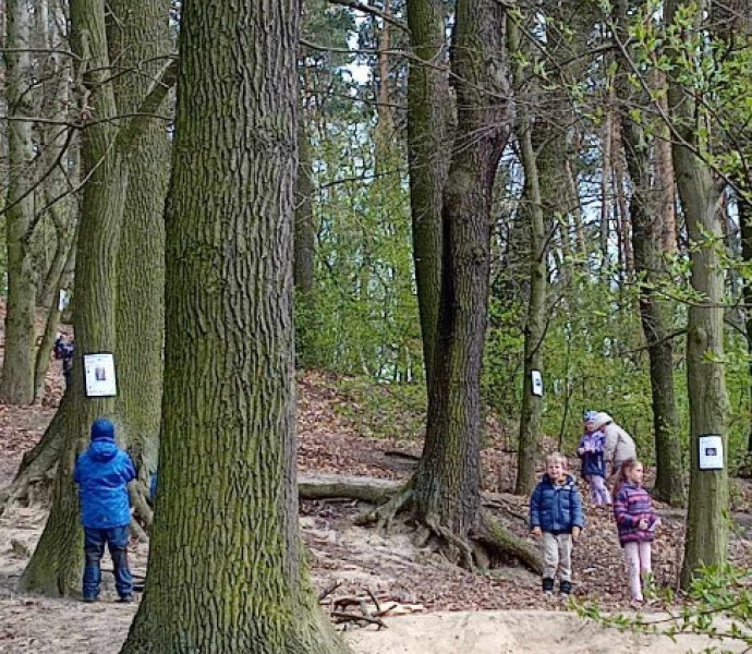 Obrázek galerie  30996